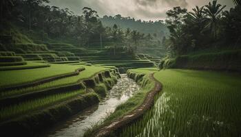 terraço arroz arrozais mostruário bali agrícola beleza dentro natureza gerado de ai foto