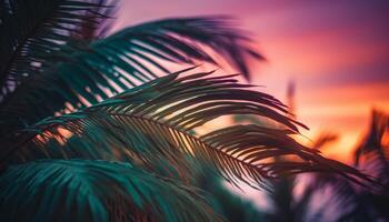 tranquilo pôr do sol silhueta do Palma árvore dentro tropical paraíso gerado de ai foto