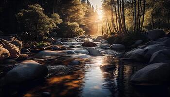 iluminado pelo sol floresta panorama com tranquilo água reflexão , generativo ai foto