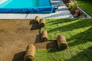 jardim à beira da piscina natural Relva gramados reinstalação durante Primavera Tempo foto