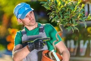 jardim Centro trabalhador segurando pequeno árvore dentro Panela. foto