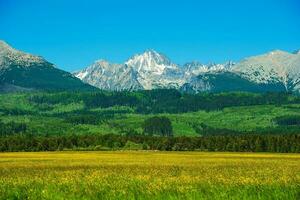 tatra montanhas Visão foto