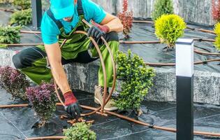 profissional jardineiro instalando irrigação sistema foto