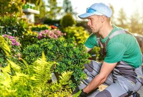 masculino jardineiro leva Cuidado do Jardim panorama. foto