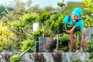 paisagista apostar uma plantar foto