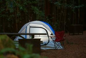 barraca acampamento dentro a bosque foto