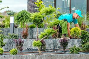 profissional paisagista mantendo plantas dentro canteiro de flores foto