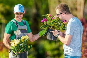 dois homem escolhendo plantas para paisagismo trabalho. foto