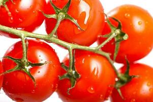 tomates vermelhos frescos foto