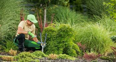 profissional jardineiro com jardim poda e corte Ferramentas foto