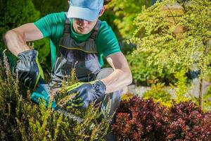 jardineiro trabalhando dentro uma jardim foto