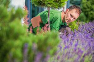 jovem jardineiro dentro a jardim foto