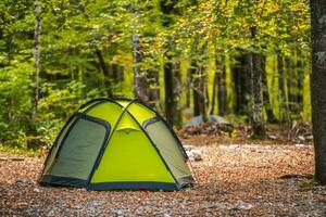 cênico floresta acampamento foto