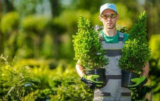 jardineiro com plantas foto