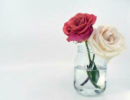 rosas dentro uma jarra - ainda vida foto