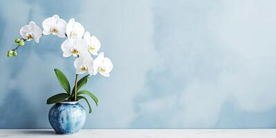 retrato vaso do orquídea flores em a mesa com luz exposição ai generativo foto