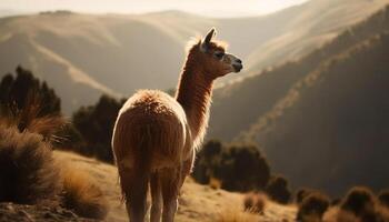 alpaca pastar em montanha Prado, fofa pele gerado de ai foto