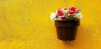 lindo branco e vermelho rosa florescendo dentro Castanho vaso de flores ou vaso suspensão ou isolado em amarelo rude parede fundo com esquerda cópia de espaço foto