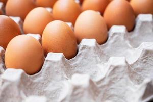 um close-up de ovos de galinha crus em painéis de ovo foto