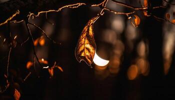 outono folhas iluminar floresta chão com ouro gerado de ai foto