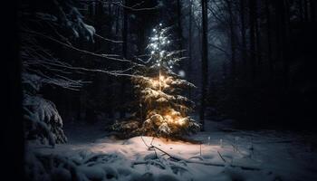 gelado pinho árvore galhos iluminar tranquilo inverno noite gerado de ai foto