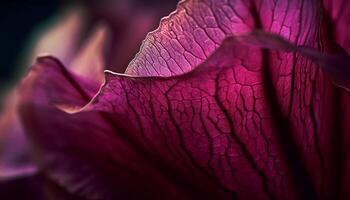 vibrante roxa pétala em solteiro flor cabeça gerado de ai foto