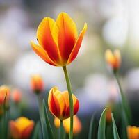 amarelo laranja tulipa flor fundo, criada com generativo ai tecnologia foto