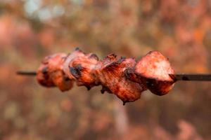Shish kebab no espeto no fundo desfocado da natureza foto