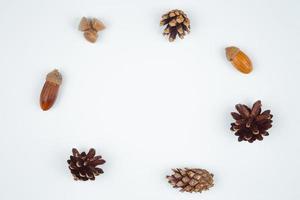 quadro de composição de outono feito de pinhas, bolotas e castanhas foto