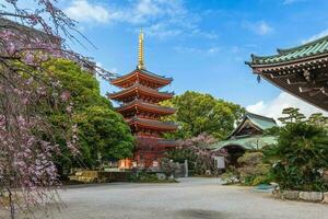 tochoji, uma Shingon têmpora dentro hakata, fukuoka, Japão. foto