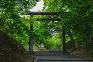 torii do Hokkaido santuário localizado dentro sapporo, Japão foto
