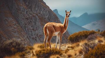 guanaco dentro natureza, espantoso foto. criativo recurso, ai gerado foto