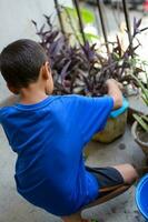 fofa 5 anos velho ásia pequeno Garoto é rega a plantar dentro a panelas localizado às casa sacada, amor do doce pequeno Garoto para a mãe natureza durante rega para dentro plantas, criança plantio foto