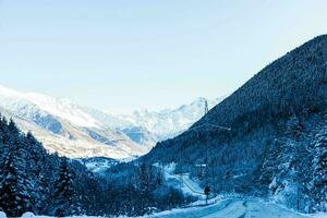 lindo cênica Visão do Cáucaso montanha. a caminho para montanha com pinho floresta coberto com neve dentro inverno estação às mestia geórgia foto