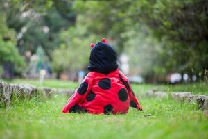 pequeno bebê menina vestindo uma joaninha fantasia. dia das Bruxas conceito. foto