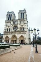 histórico catedral do nosso senhora do Paris dentro uma congelando inverno dia somente antes Primavera foto