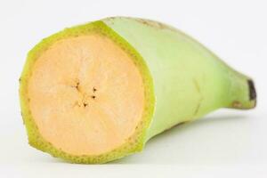 bananeira ou verde banana isolado dentro branco fundo. musa x paradisíaca foto
