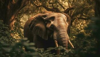 ampla elefante caminhando através tropical floresta tropical gerado de ai foto