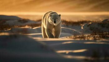 pele coberto mamífero caminhando dentro tranquilo ártico panorama gerado de ai foto