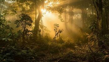misterioso floresta, nebuloso alvorecer, tranquilo beleza revelado gerado de ai foto