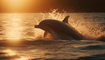 brincalhão golfinho pulando dentro a pôr do sol spray gerado de ai foto