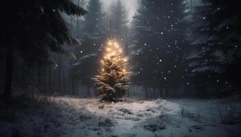 iluminado pinho árvore dentro Nevado floresta noite gerado de ai foto