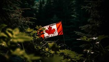 majestoso bordo árvore simboliza canadense patriotismo e liberdade gerado de ai foto