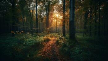 outono floresta caminho brilha com vibrante cores gerado de ai foto