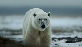 fofa ártico mamífero caminhando em Nevado gelo floe gerado de ai foto