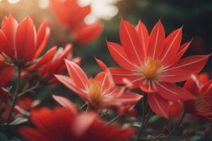 vermelho flor dentro a jardim com luz solar fundo, vintage cor tom. generativo ai foto