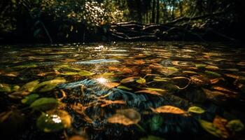 a tranquilo cena do uma floresta lago, refletindo outono beleza gerado de ai foto