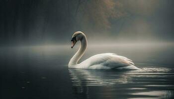 majestoso cisne desliza em tranquilo lago, refletindo natureza beleza gerado de ai foto