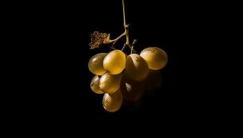 suculento maduro uvas aguentar a partir de verde Vinhedo filial, refrescante lanche gerado de ai foto