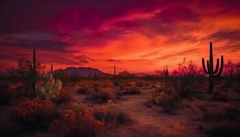 silhueta do saguaro cacto contra laranja pôr do sol dentro árido clima gerado de ai foto